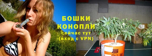 ГАЛЛЮЦИНОГЕННЫЕ ГРИБЫ Армянск